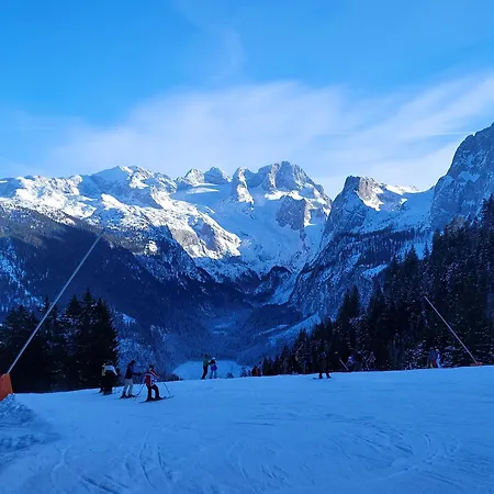 Apartmenthaus Edelweiss In Gosau Exterior photo