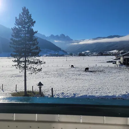Apartmenthaus Edelweiss In Gosau Exterior photo