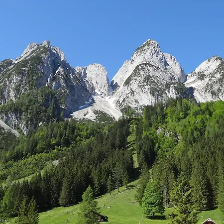 Apartmenthaus Edelweiss In Gosau Room photo