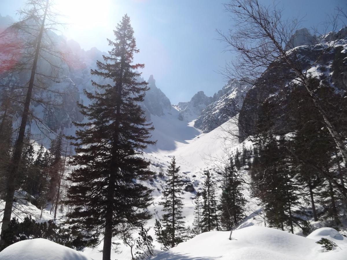 Apartment Apartmenthaus Edelweiss In Gosau Gosau