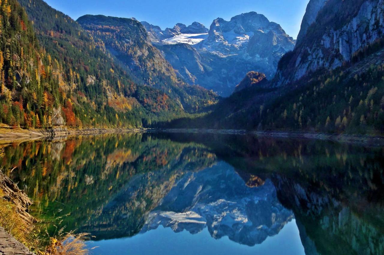 Apartmenthaus Edelweiss In Gosau Gosau