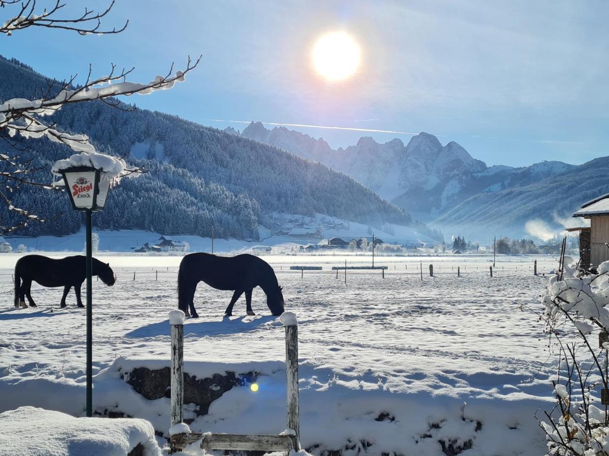 Apartmenthaus Edelweiss In Gosau Apartment *