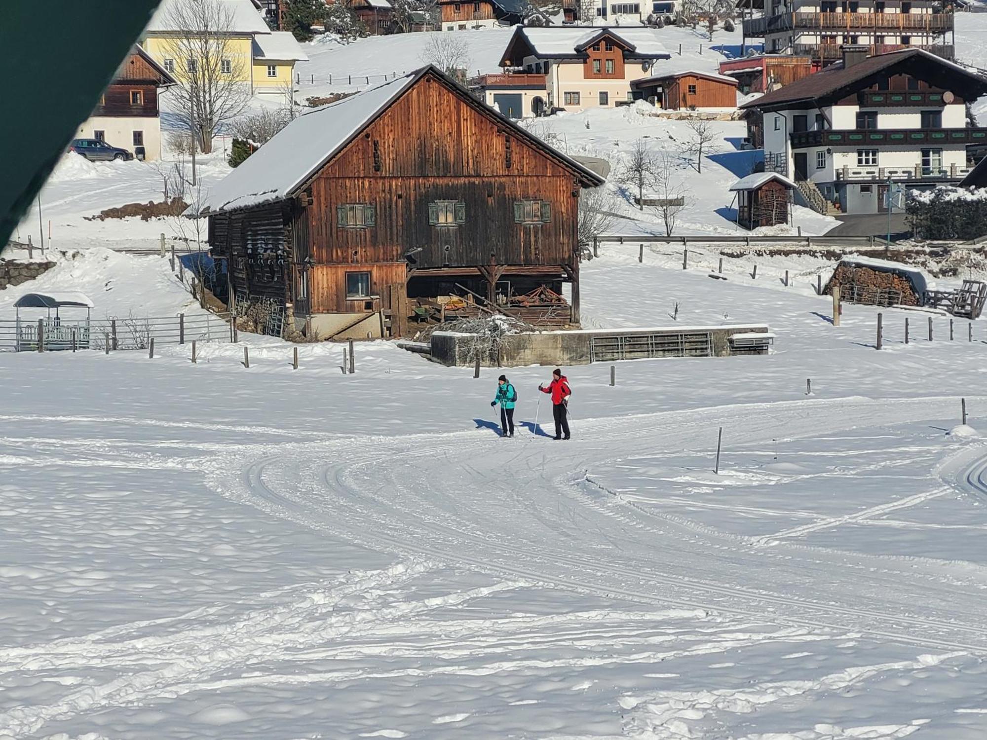 Apartmenthaus Edelweiss In Gosau