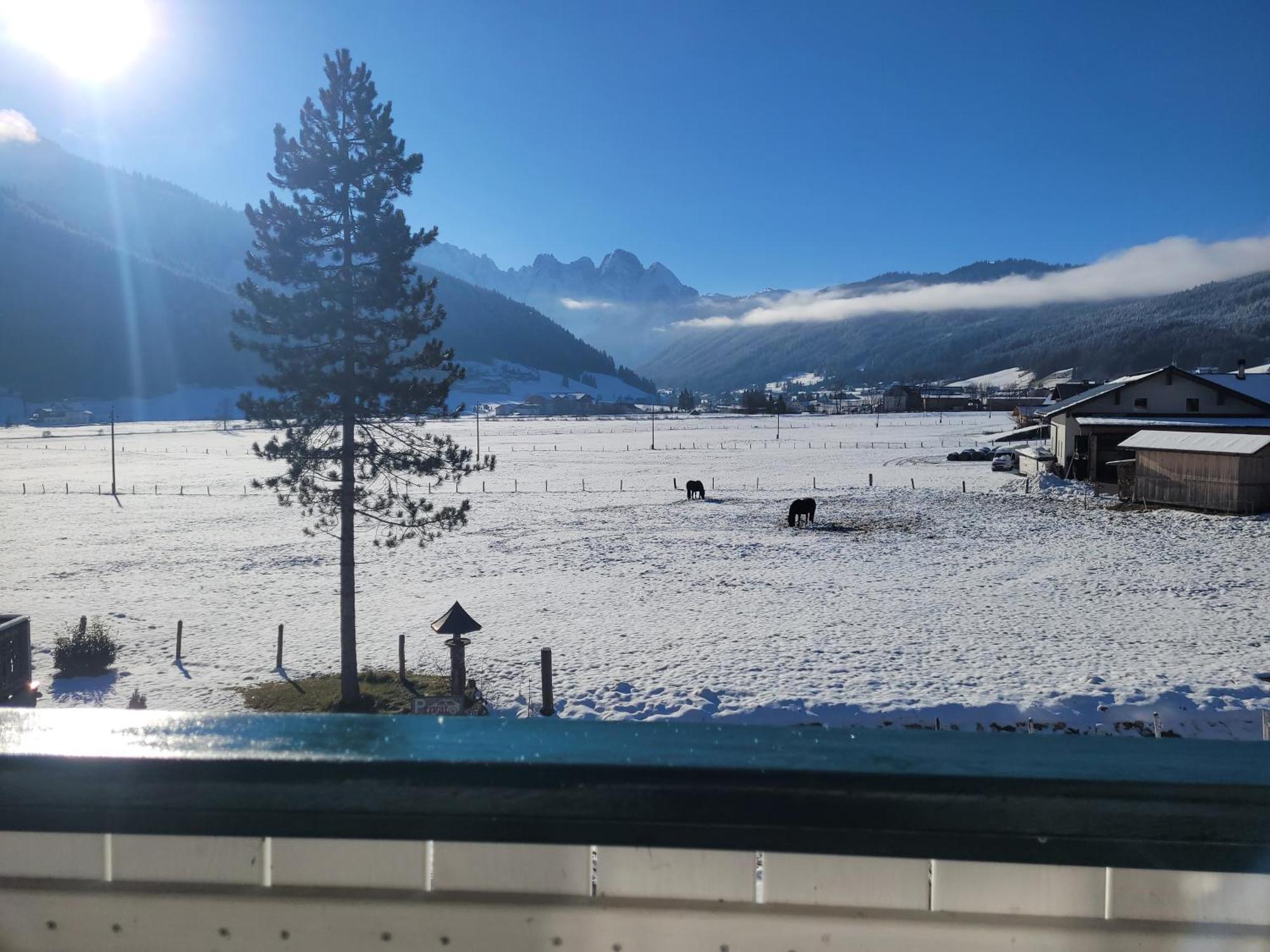 Apartmenthaus Edelweiss In Gosau Apartment Gosau