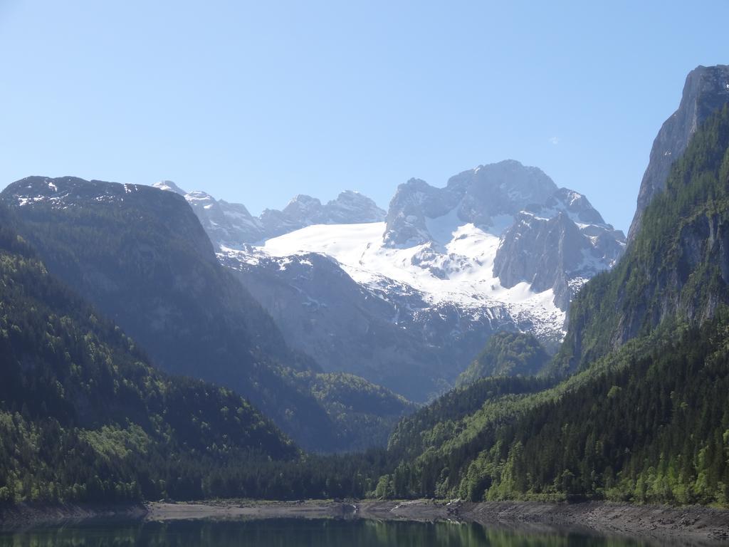Apartment Apartmenthaus Edelweiss In Gosau *