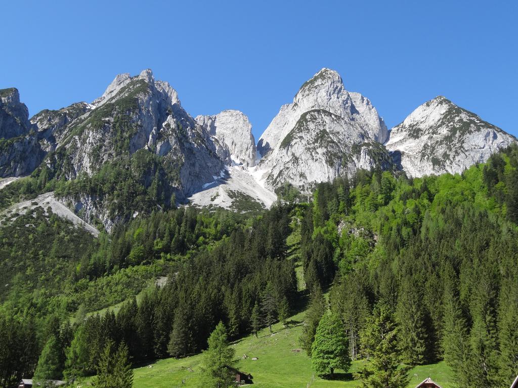 Apartment Apartmenthaus Edelweiss In Gosau *
